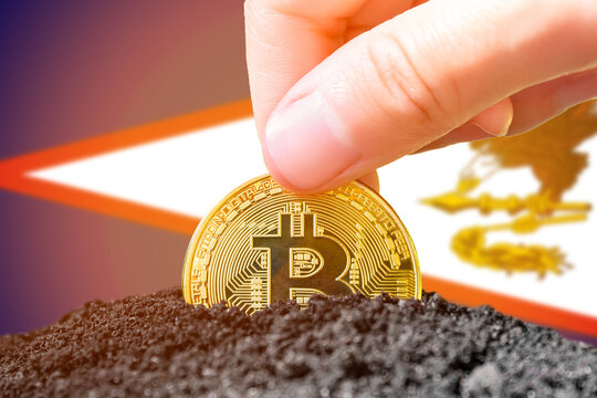 Legalization of bitcoin in American Samoa. Planting bitcoin in the ground on the background of the flag of American Samoa. American Samoa - investment in cryptocurrency.