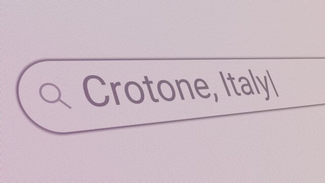 Search Bar Crotone Italy 
Close Up Single Line Typing Text Box Layout Web Database Browser Engine Concept