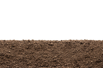 Fertile loam for planting on a white background.