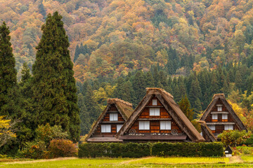 世界遺産　秋　紅葉の白川村　 © naomi sugitani
