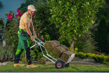 Professional Landscaper Moving Grass Turfs on a Cart