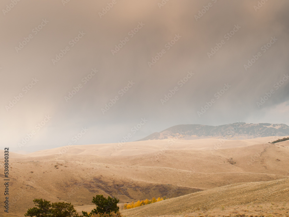 Fototapete Rolling landscape