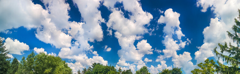 blue sky and green Trees Panoramic Summer Afternoon
