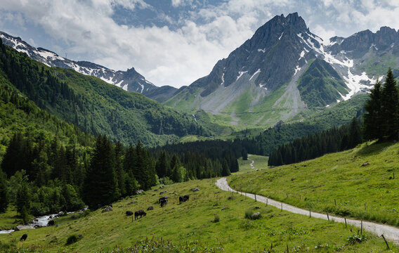 Pictures From The Trekking Route Tour De Mont Blanc In The French Alps