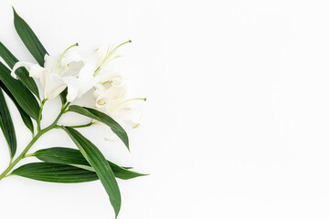 Branch of white lilies flowers. Mourning or funeral background