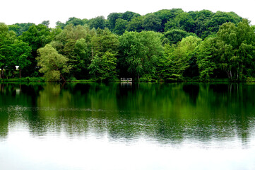 Fototapeta na wymiar Wald dichter Baumbestand an einem Seeufer Spiegelung der Bäume auf dem Wasser Steg Plattform aus Holz für Angler am Wasser von Bäumen umrahmt