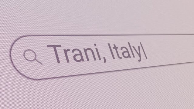 Search Bar Trani Italy 
Close Up Single Line Typing Text Box Layout Web Database Browser Engine Concept