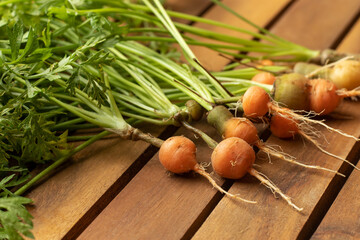Fototapeta na wymiar Round red-orange carrots on a wooden table. Paris market carrot.