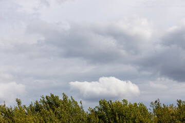 Obraz premium Grey sky
