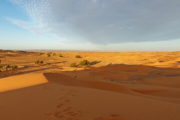 sand dunes in the sahara desert. Morocco. Sunrise in the desert