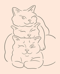 Three fluffy cats wink and smile. Kittens cuddle together. Pets friendly concept