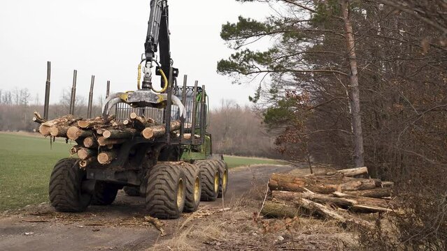 Grapple loader unloading chopped logs on pile by forest road, Czechia.