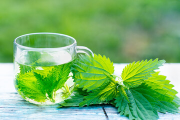 nettle tea, beneficial herbs, the concept of alternative medicine