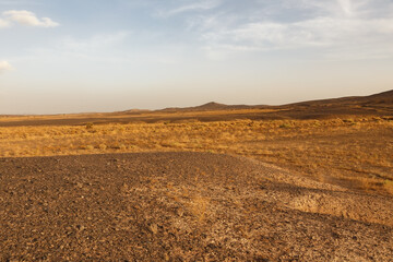 Fototapeta na wymiar Stone desert in the Sahara. Morocco. Desert landscape. Sahara Desert