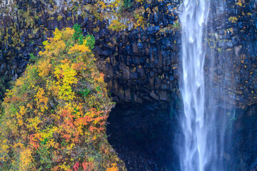 晩秋　紅葉の白水の滝　岐阜県白川村　