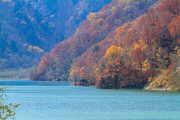 晩秋　紅葉の白水の滝　岐阜県白川村　