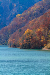 晩秋　紅葉の白水の滝　岐阜県白川村　