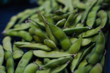 Close up of green soybeans