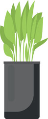 Green plant in pot. Indoor floral decoration icon