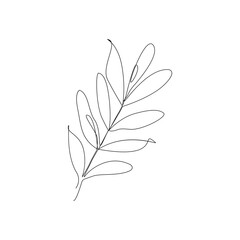 Eucalyptus leaves . One line drawing art.Vector illustration