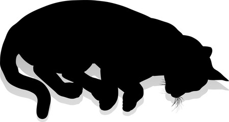Silhouette Cat Pet Animal