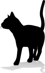 Silhouette Cat Pet Animal