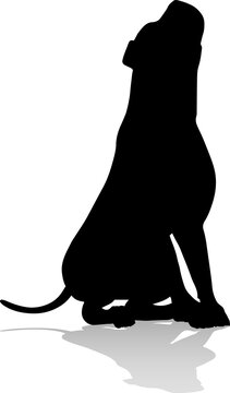 recommend clip art: Dog Silhouette Pet Animal