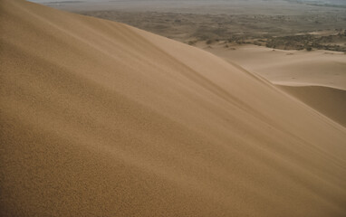 Fototapeta na wymiar Sandy desert dune and Sarykum dune with low vegetation, beautiful sand texture