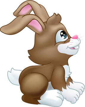 Easter Bunny Rabbit Cartoon Character Mascot