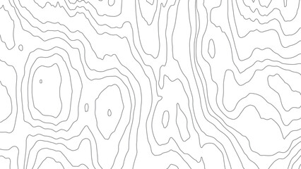 Topographic map contour background. Line topographic map contour background. Art design contour background. Grid map. Vector illustration.