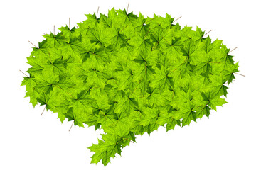 nature green wood sunlight backgrounds. 