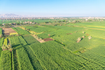 Fototapeta na wymiar An aerial view of the lush fields in Luxor, Egypt.