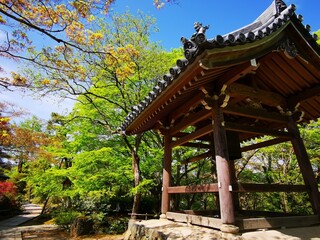 京都　秋が近づく常寂光寺