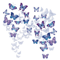 Fototapeta premium mixed butterfly print on plain ground 
