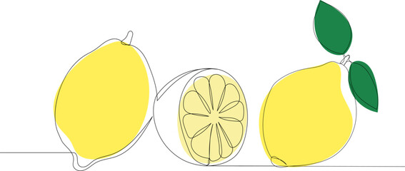 lemons sketch, one continuous line drawing, vector
