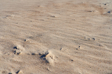 Fine beautiful orange sand with traces of erosion. Selective focus