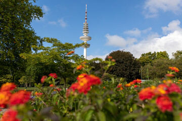Hamburg Fernsehturm mit Blumen