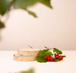 Wood podium saw cut of tree on beige background with autumn red hawthorn berries. Concept scene stage showcase, product, promotion sale, presentation, beauty cosmetic. Wooden stand studio empty