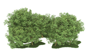 Forest on transparent background. 3d rendering - illustration