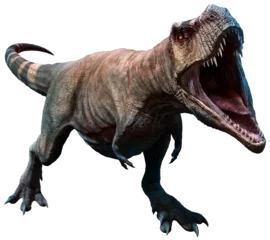 Fotobehang Dinosaurussen Tyrannosaurus rex about to bite 3D illustration   © warpaintcobra