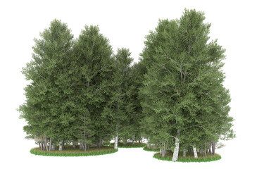 Fototapeta premium Forest on transparent background. 3d rendering - illustration