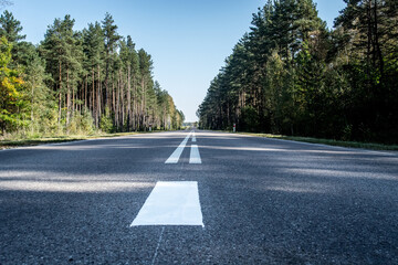 Obraz premium road in the forest