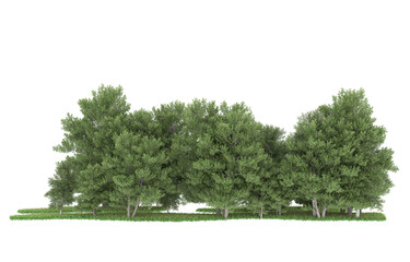 Obraz premium Forest on transparent background. 3d rendering - illustration