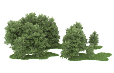 Forest on transparent background. 3d rendering - illustration