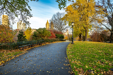Autumn in Central Park