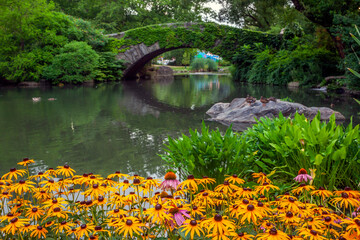 Gapstow Bridge in Central Park