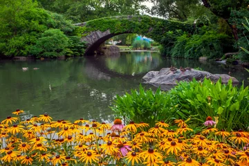 Foto op Plexiglas Gapstow Brug Gapstow-brug in Central Park