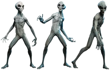 Fotobehang Three Grey alien 3D illustrations  © warpaintcobra
