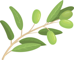 Green olive branch. Natural virgin cartoon plant