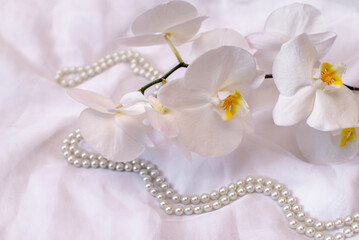 The branch of white orchids on white fabric background
